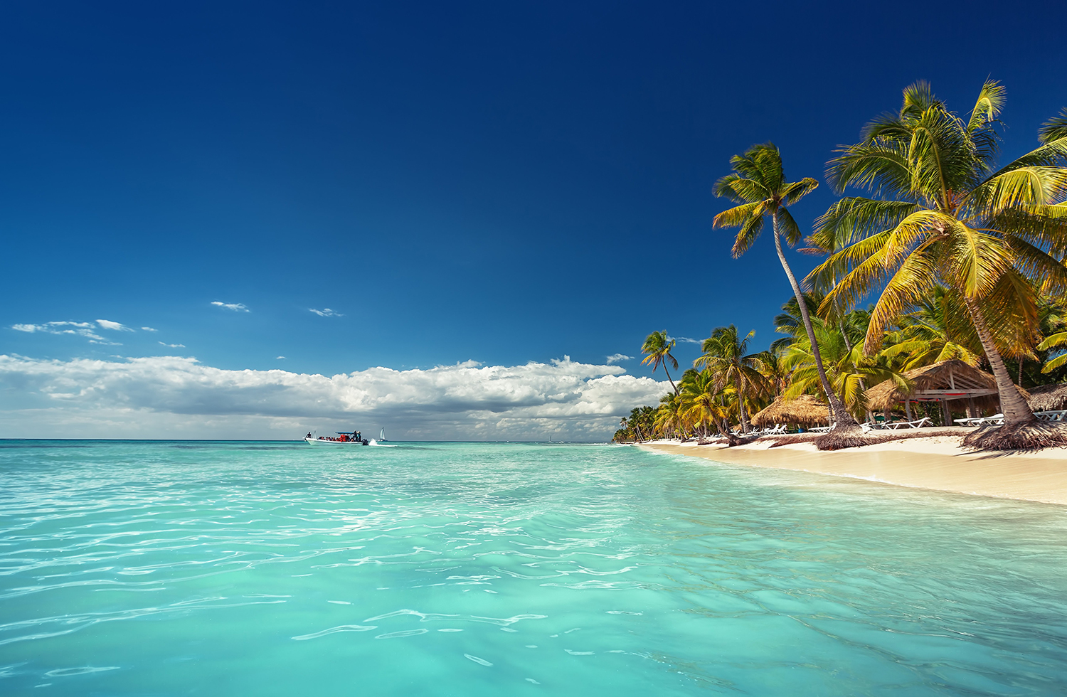 shutterstock_310904339